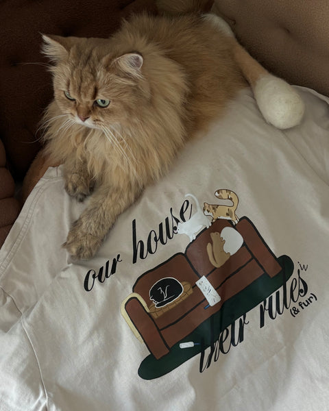 Cat Owner Problems Shirt