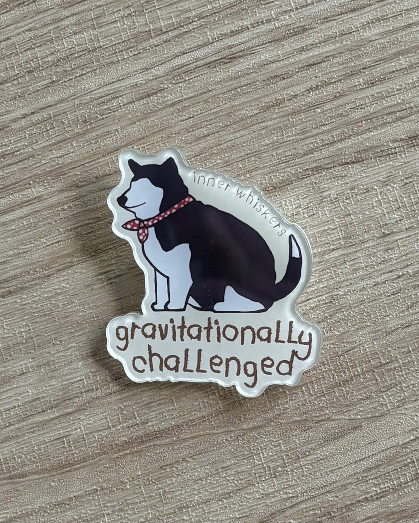 Acrylic Pin