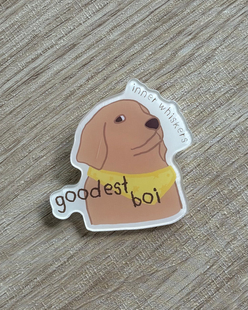 Acrylic Pin