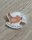 Acrylic Pin
