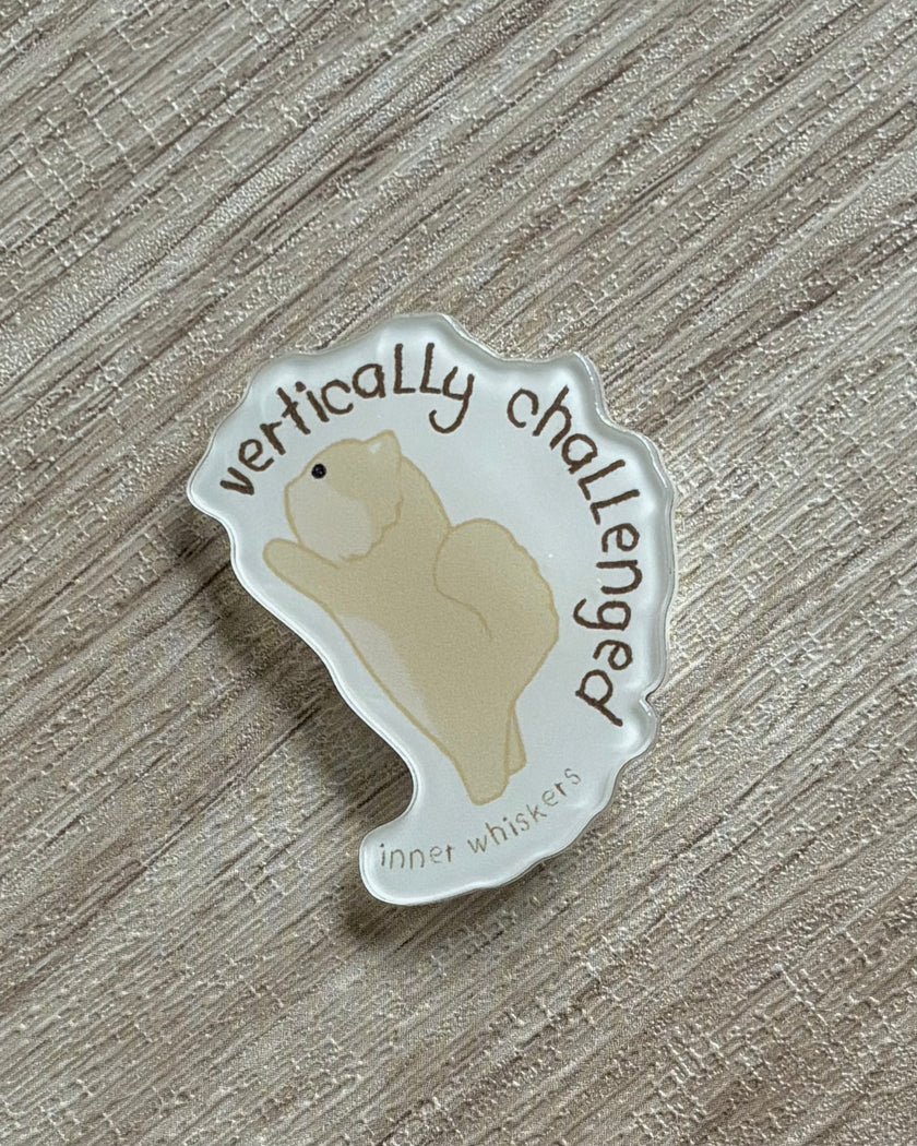 Acrylic Pin