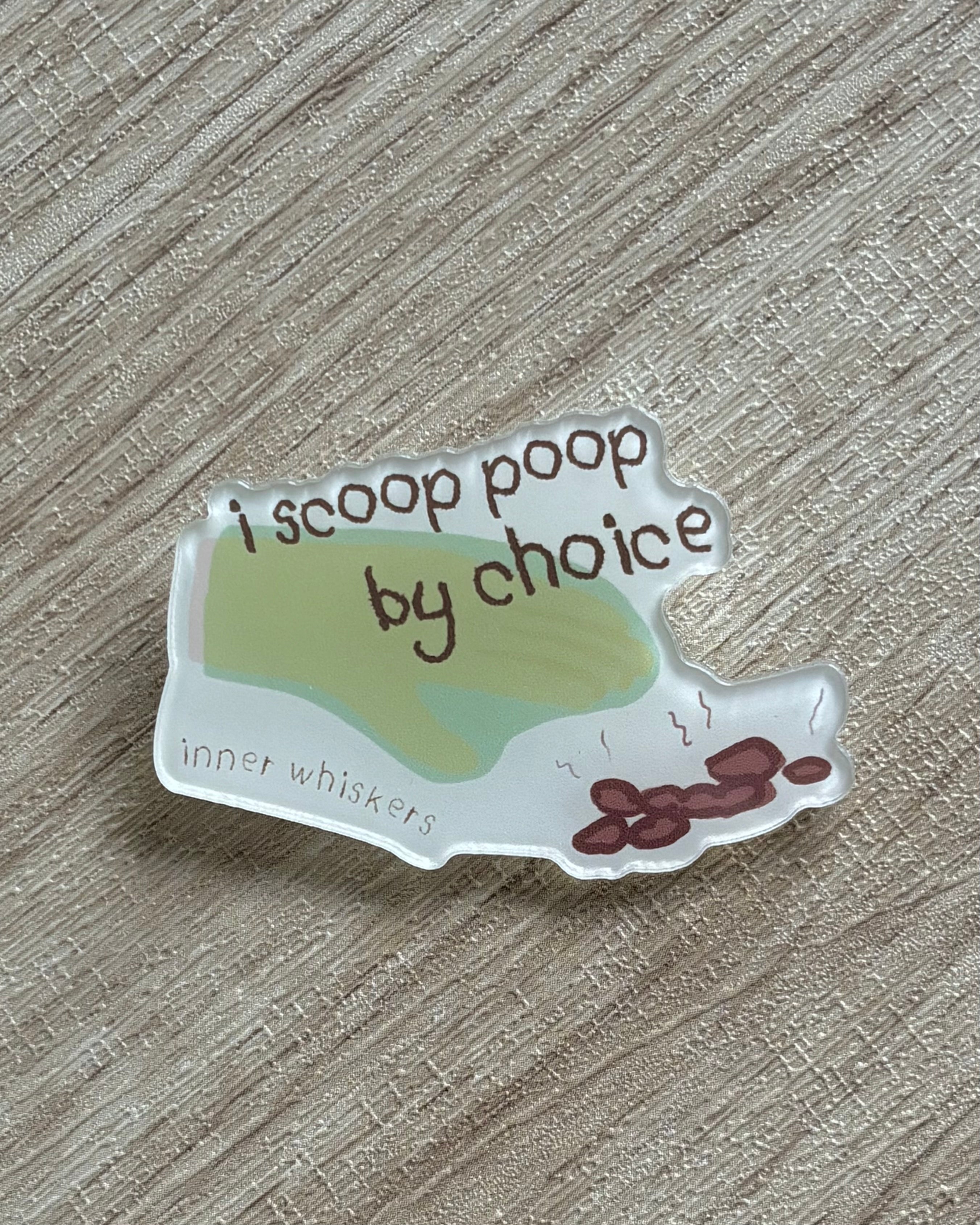 Acrylic Pin