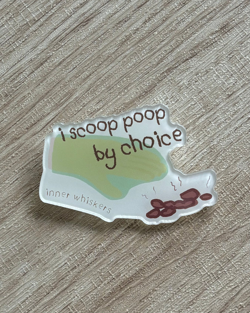Acrylic Pin
