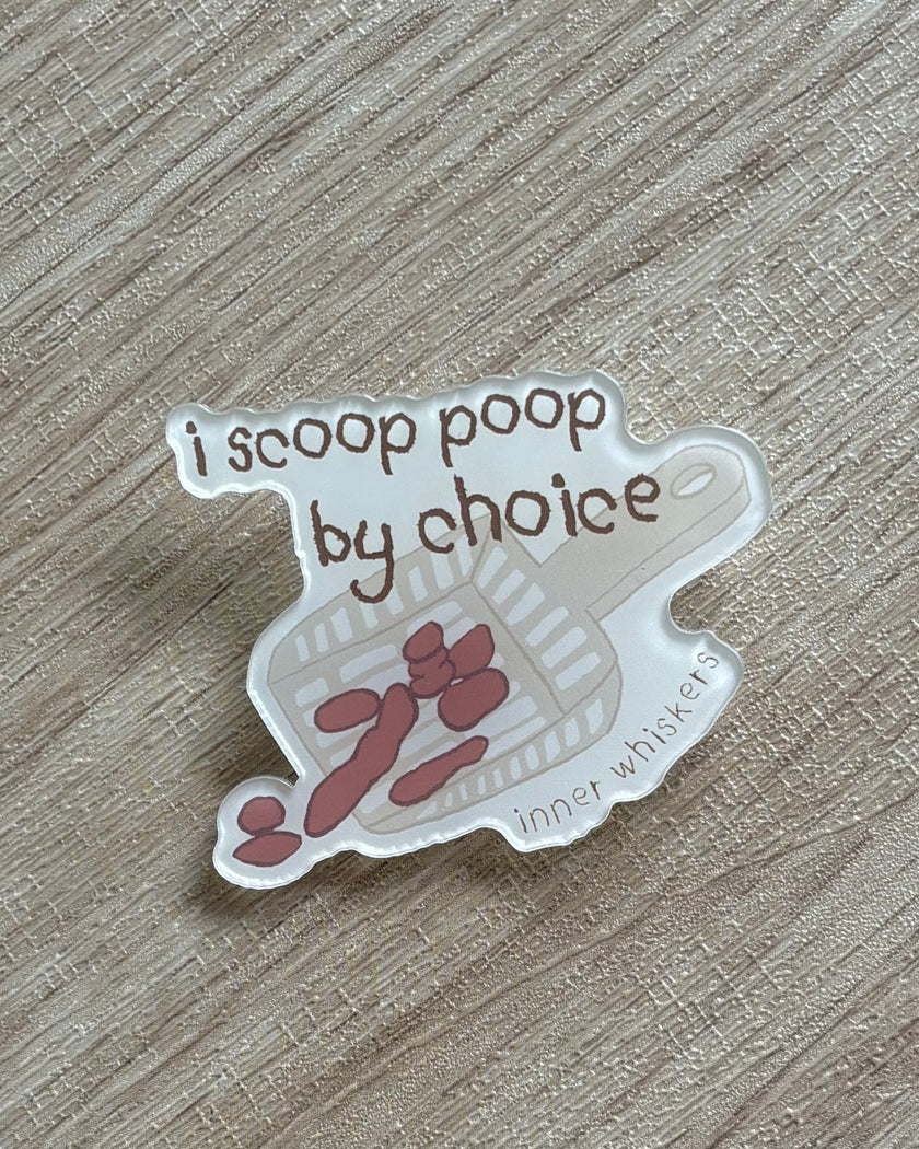 Acrylic Pin