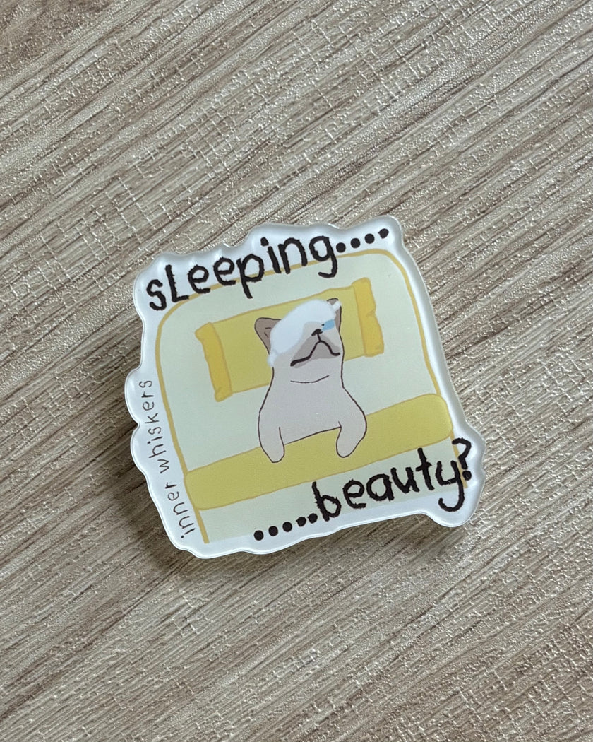 Acrylic Pin