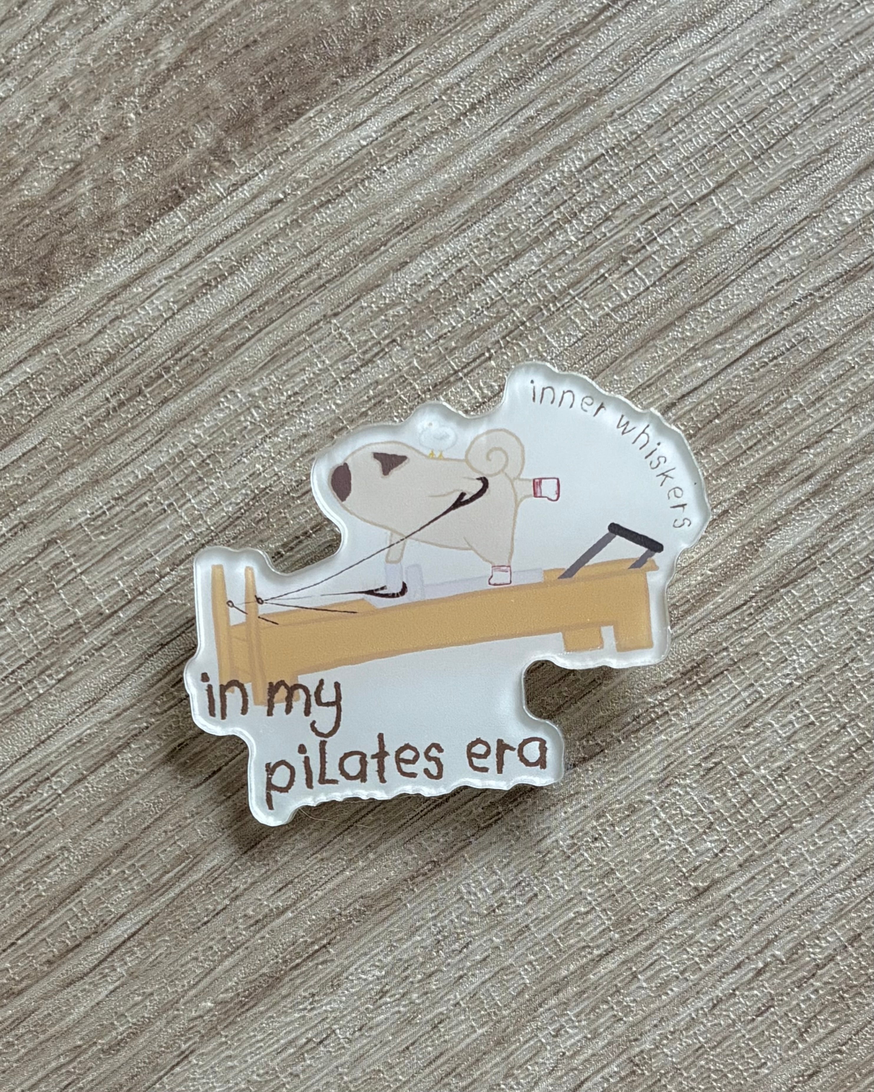 Acrylic Pin