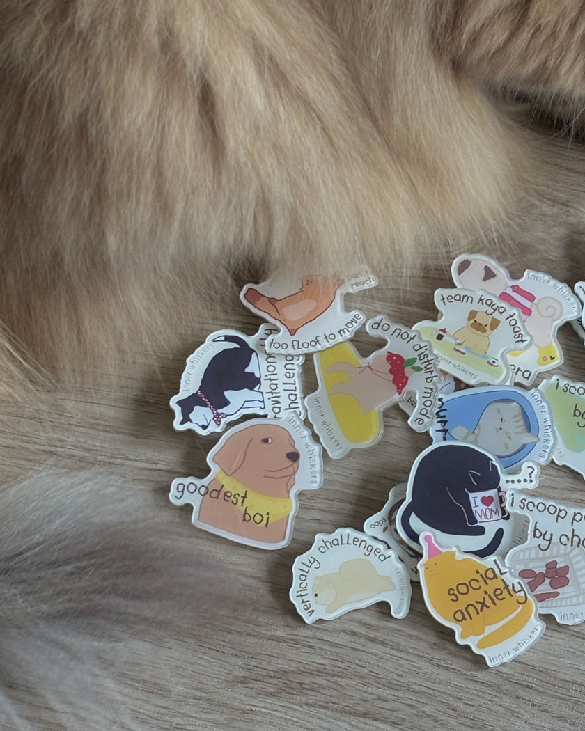 Acrylic Pin