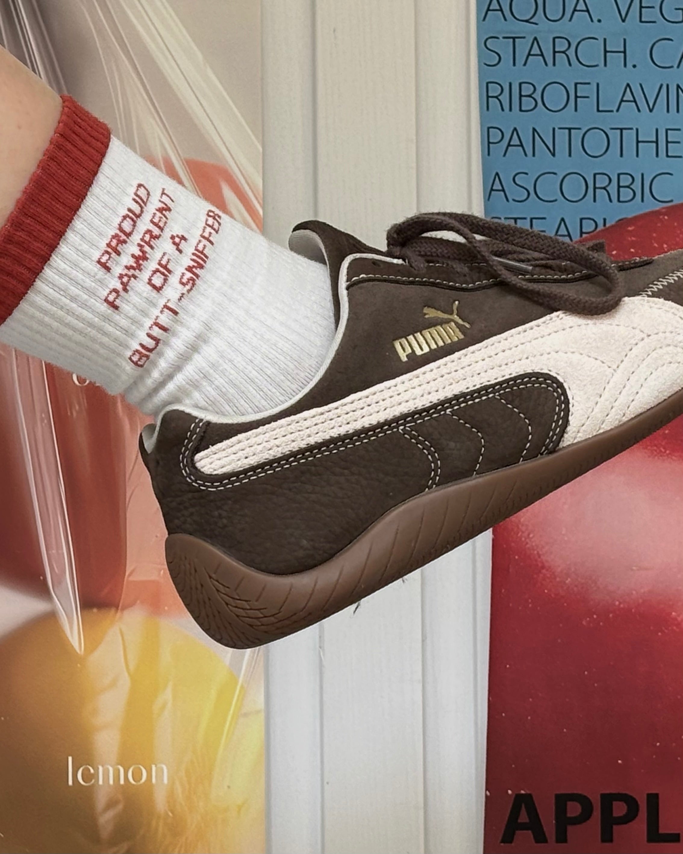 Dog Pawrent Club Crew Socks