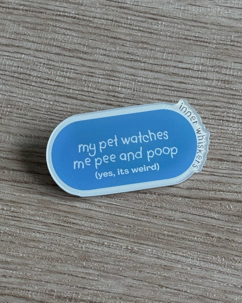 Acrylic Pin