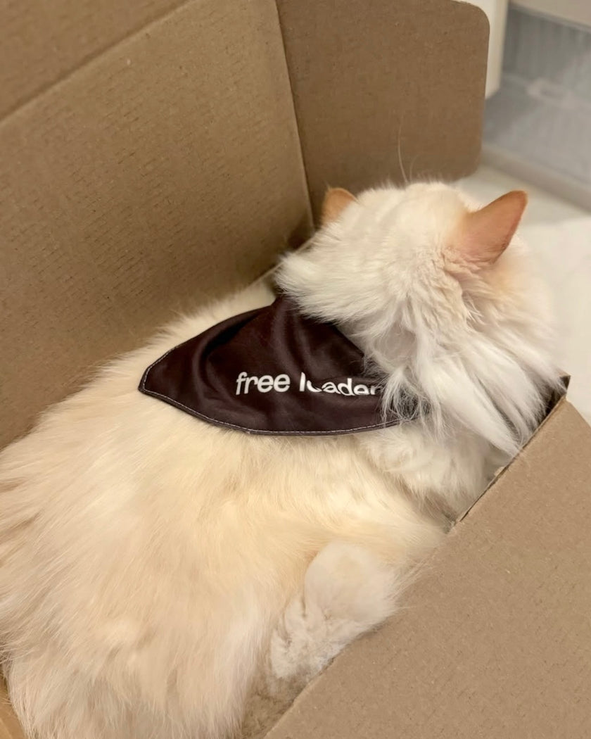 Free Loader Bandana