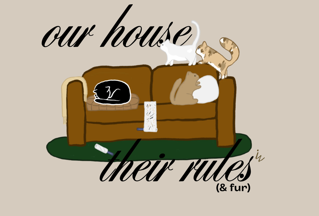 Cat Owner Problems Shirt
